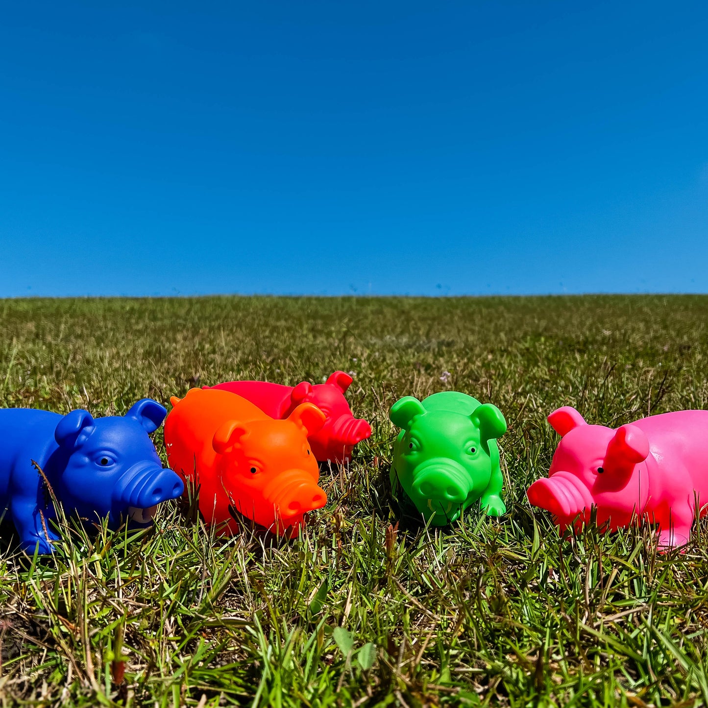 Squeeze Me Piggie - Medium